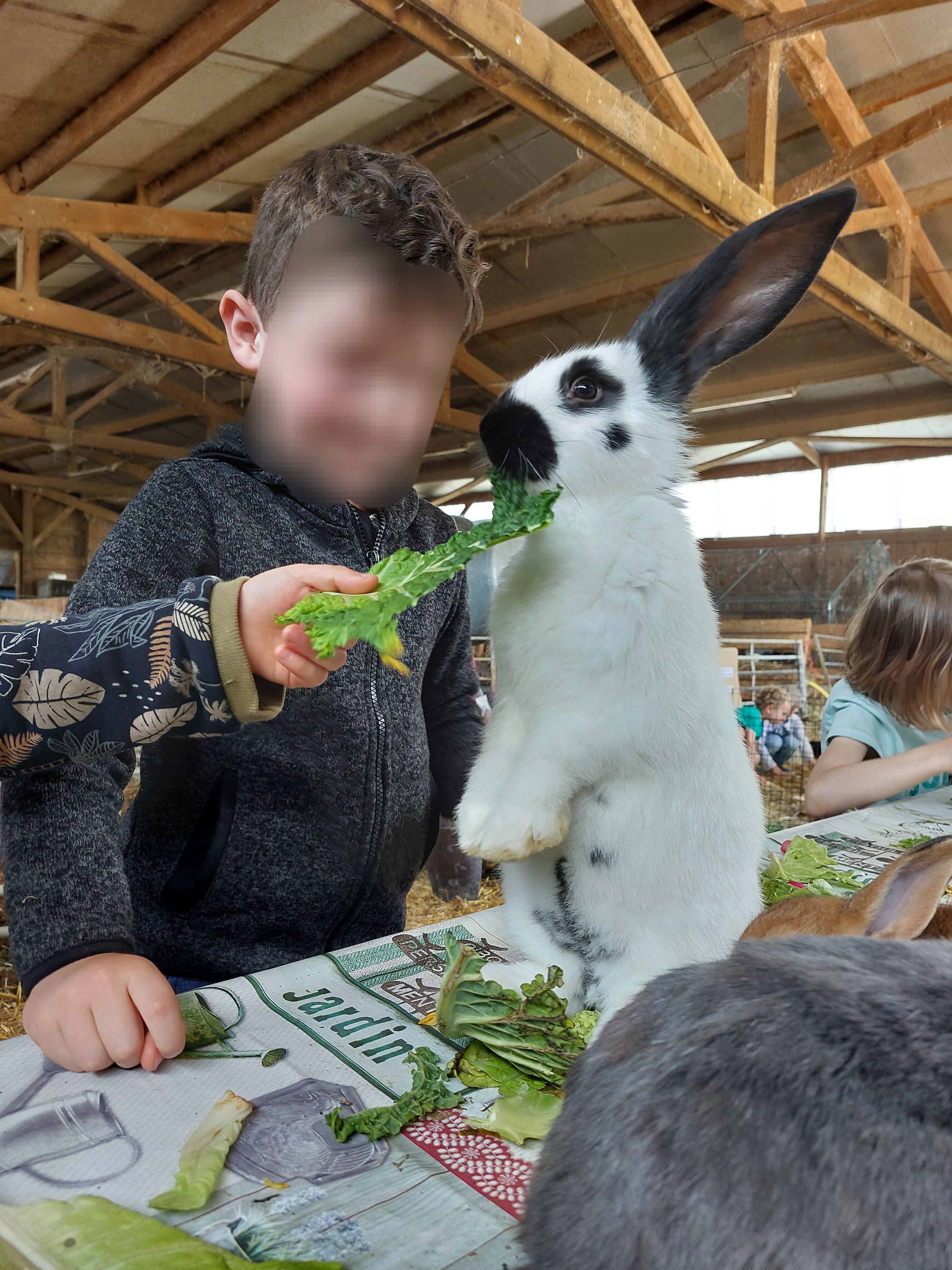 Accueil de groupe et scolaire