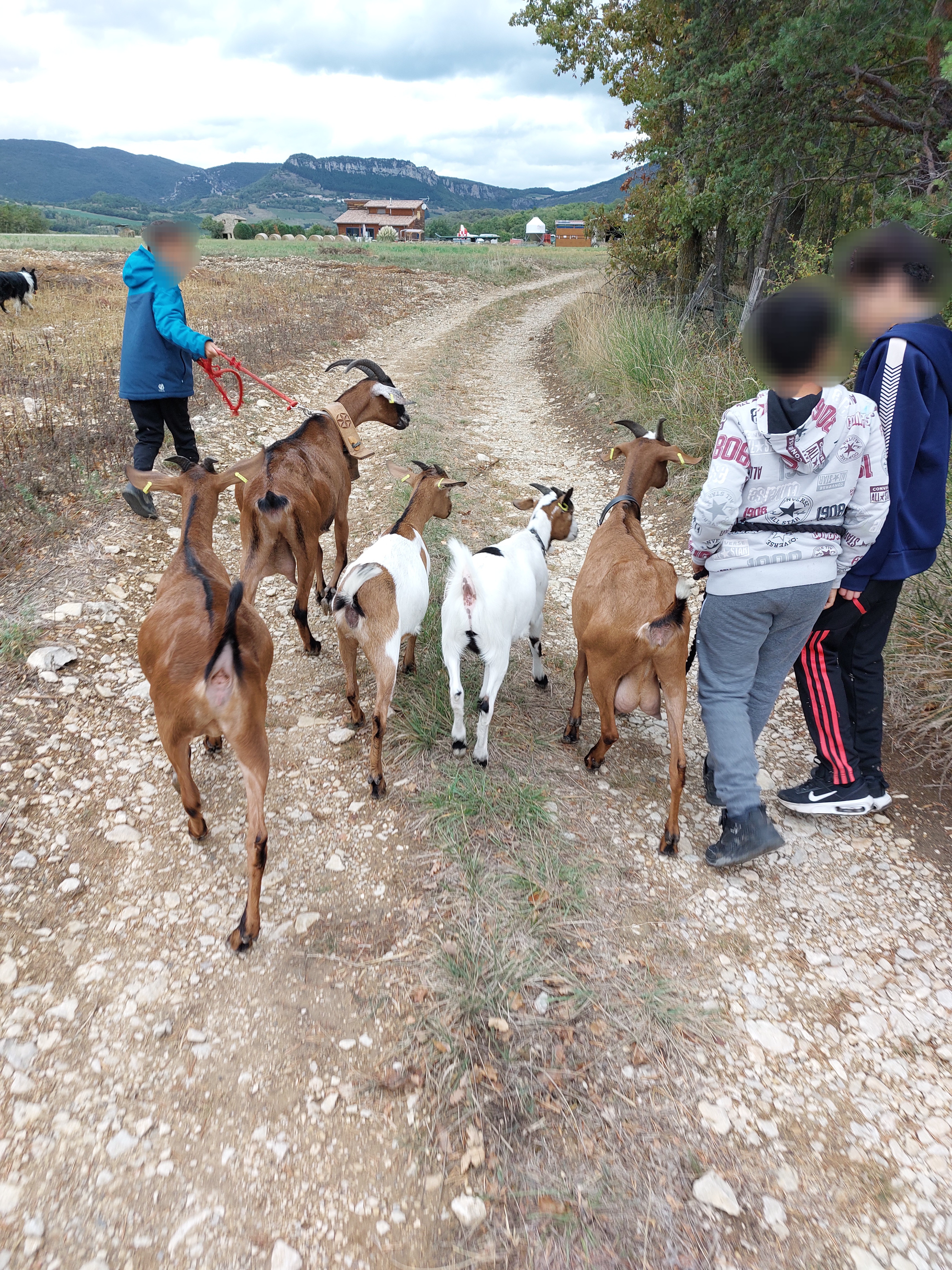 Atelier et visite à la ferme