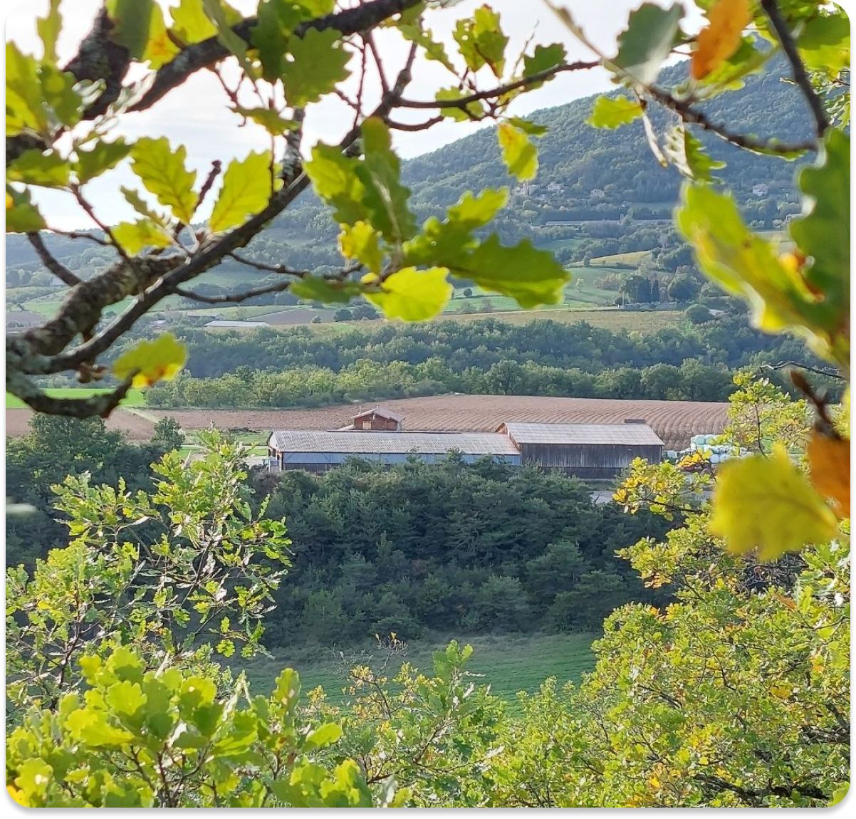 Paysage de la Ferme Rigaud