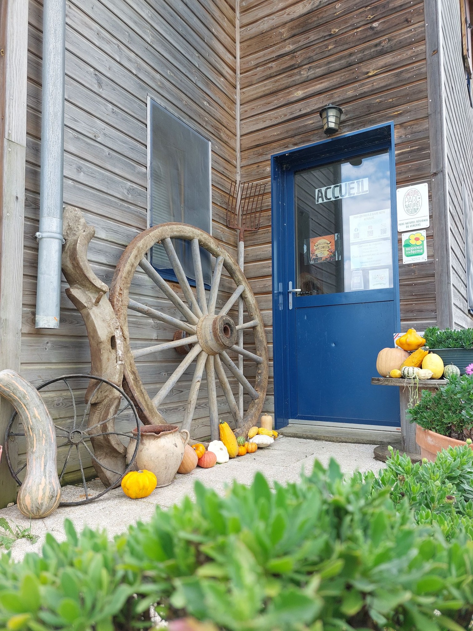 Conditions générales de vente